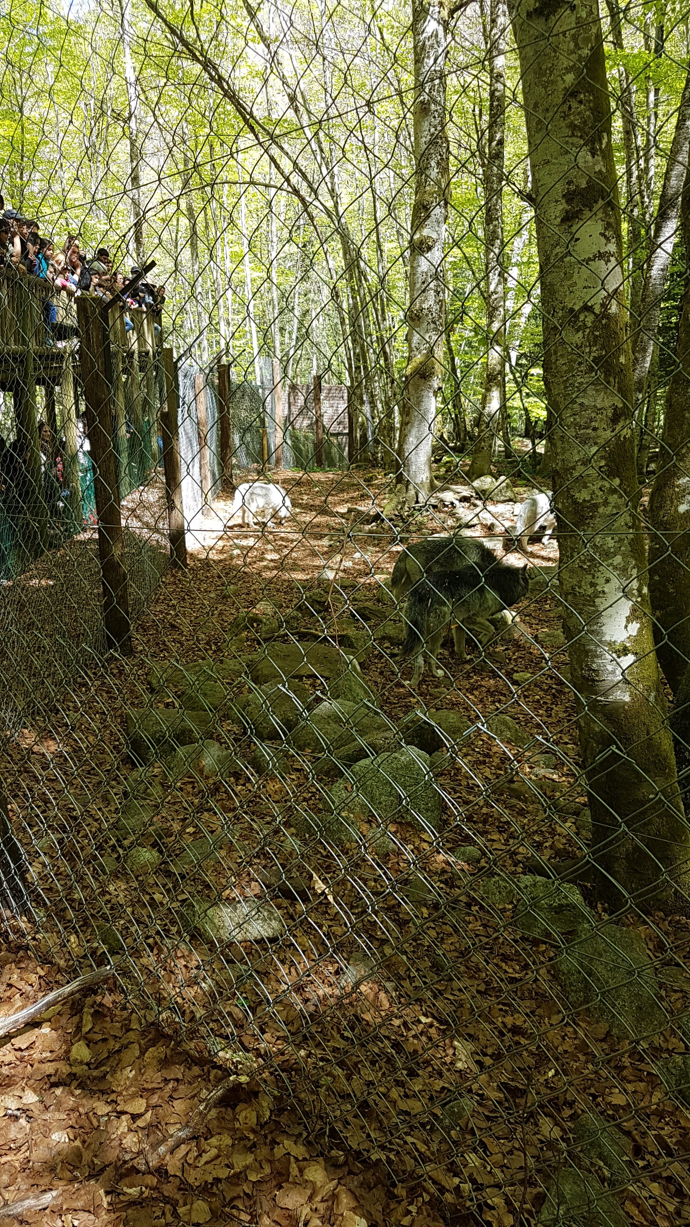 Photo n° 2 de l'avis de Geoffroy.r fait le 13/06/2019 à 16:12