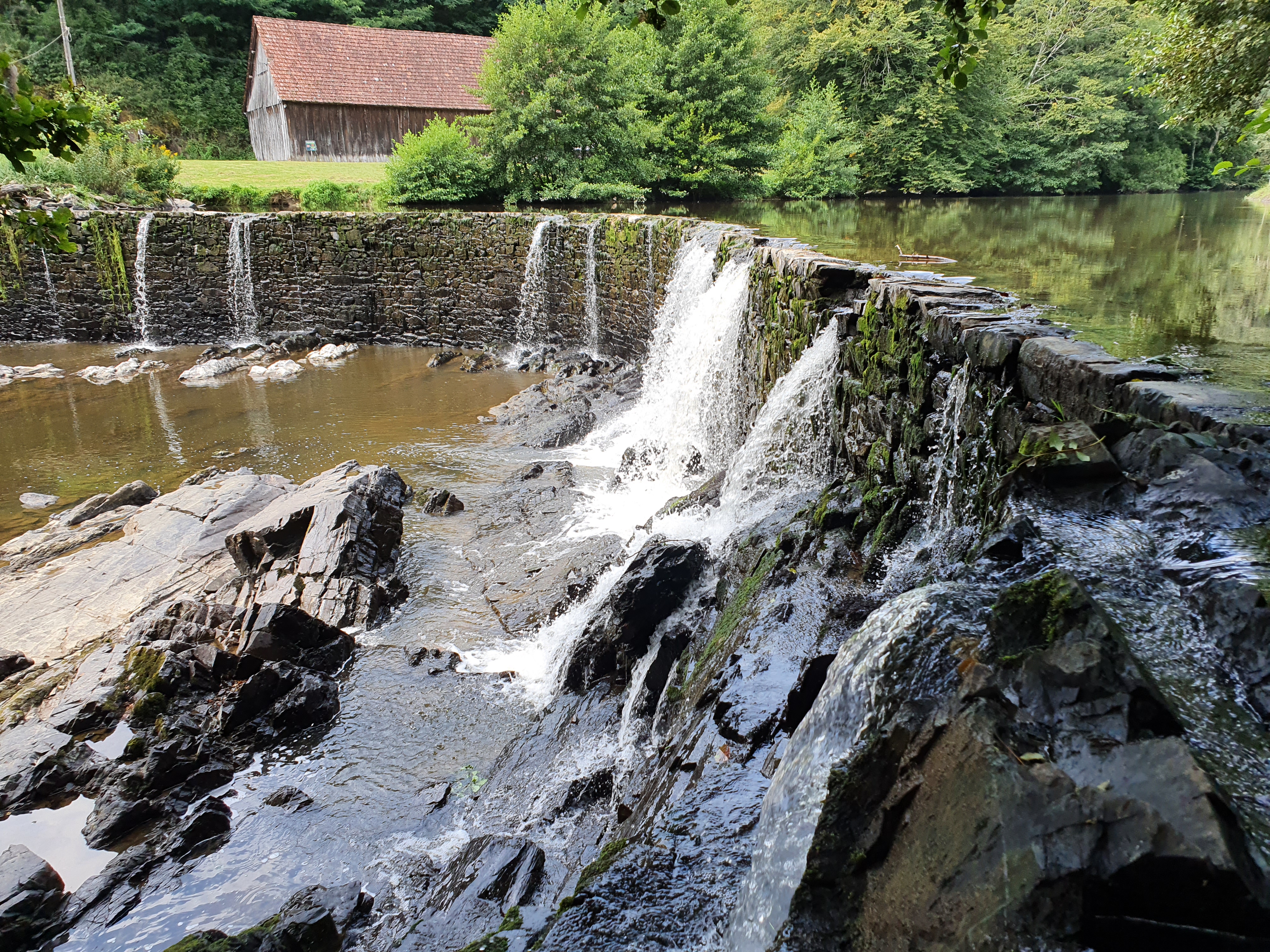 Photo n° 11 de l'avis de Miguel.I fait le 16/08/2021 à 20:12