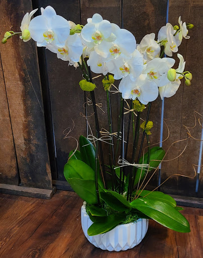 Florist «FloralArt + Decor», reviews and photos, 1414 Burlingame Ave, Burlingame, CA 94010, USA