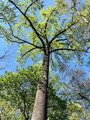 Coopersmith Park - photo 51