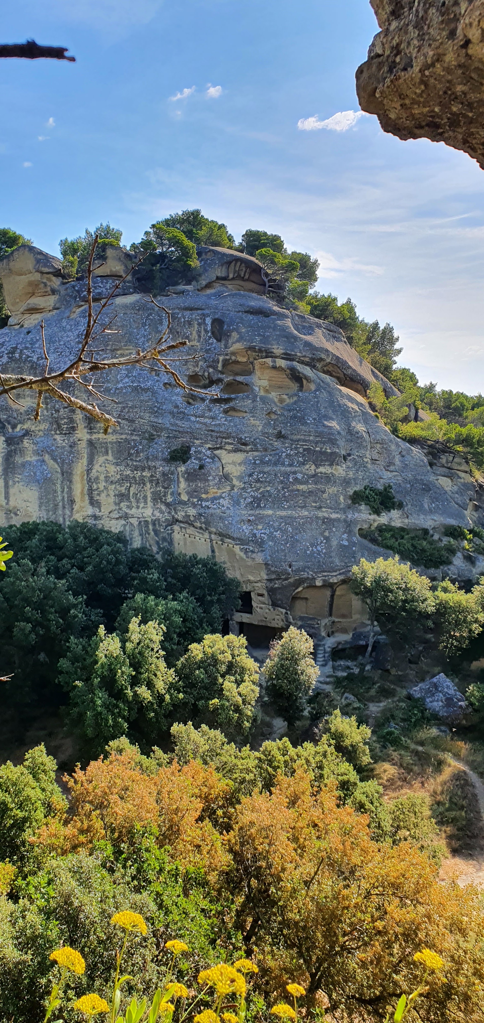 Photo n° 1 de l'avis de Ruiz.y fait le 26/07/2020 à 13:11
