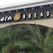 Panera Bread