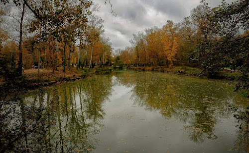 Lac des Quinze Sols à Blagnac