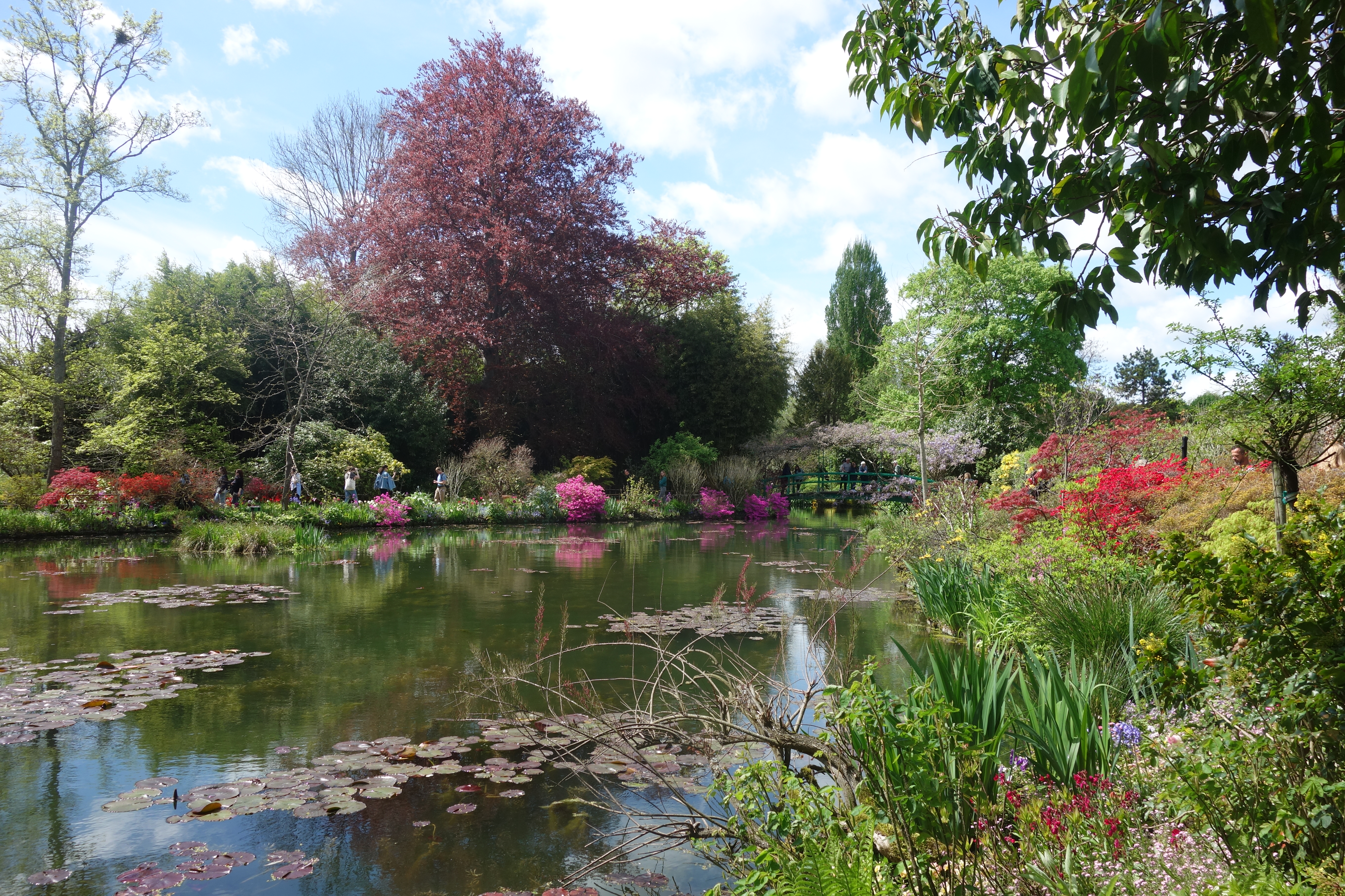 Photo n° 1 de l'avis de Michèle.e fait le 22/02/2024 à 17:42