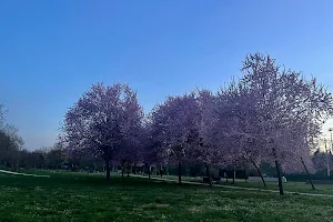 Parco San Donnino, via San Donato (BO) image