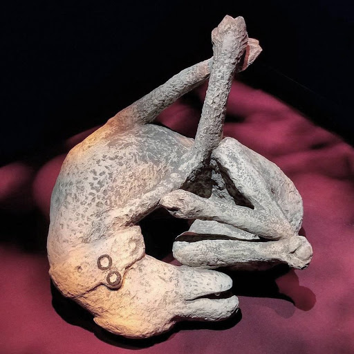 Learning Center «Arizona Science Center», reviews and photos, 600 E Washington St, Phoenix, AZ 85004, USA