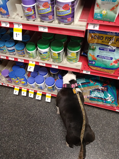 Pet Supply Store «Petco Animal Supplies», reviews and photos, 848 N Colony Rd c, Wallingford, CT 06492, USA