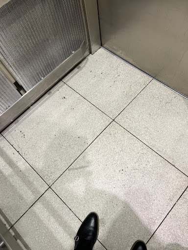 Hair Salon «Great Clips», reviews and photos, 19231 N Dale Mabry Hwy, Lutz, FL 33548, USA