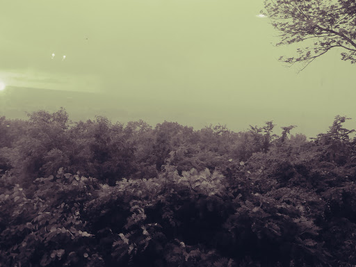 Resort «Park Mammoth Resort», reviews and photos, 22850 Louisville Rd, Park City, KY 42160, USA