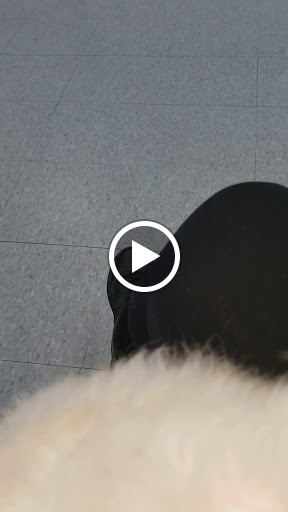 Discount Store «99 Cents Only Stores», reviews and photos, 950 E Avenida De Los Arboles, Thousand Oaks, CA 91360, USA