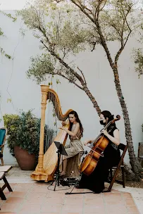 Liz Harpist - Car repair in , Huntington Beach - Rated 5.0/5