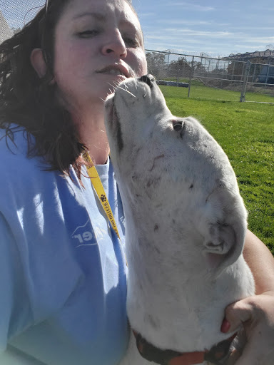 Placer County Animal Services Center image