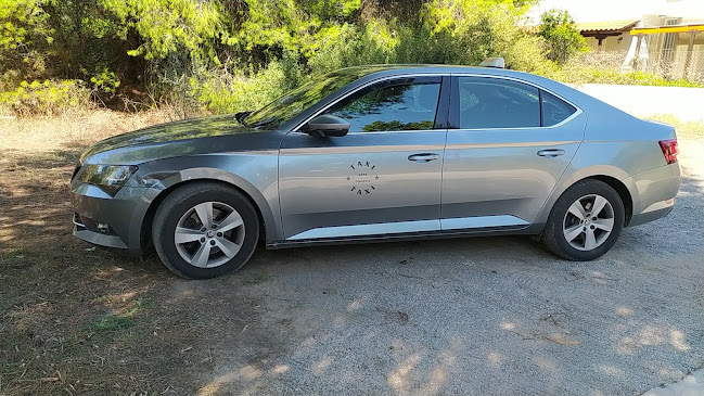 Opinii despre TAXI LEFTERIS DILESI în Σχηματάρι - Υπηρεσία ταξί