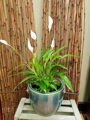 Florist «Harmony Florist», reviews and photos, 1104 Main St Suite 130, Vancouver, WA 98660, USA