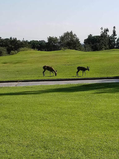 Golf Course «San Dimas Canyon Golf Course», reviews and photos, 2100 Terrebonne Ave, San Dimas, CA 91773, USA