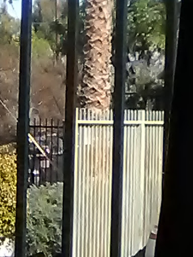 Cell Phone Store «AT&T Authorized Retailer», reviews and photos, 23639 Calabasas Rd, Calabasas, CA 91302, USA