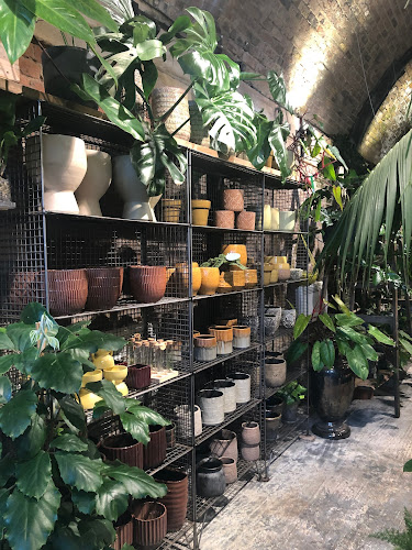Reviews of W6 Garden Centre and Cafe in London - Landscaper