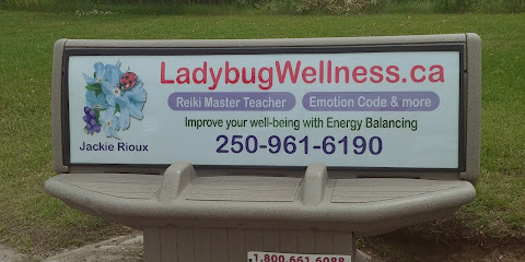 Ladybug Wellness