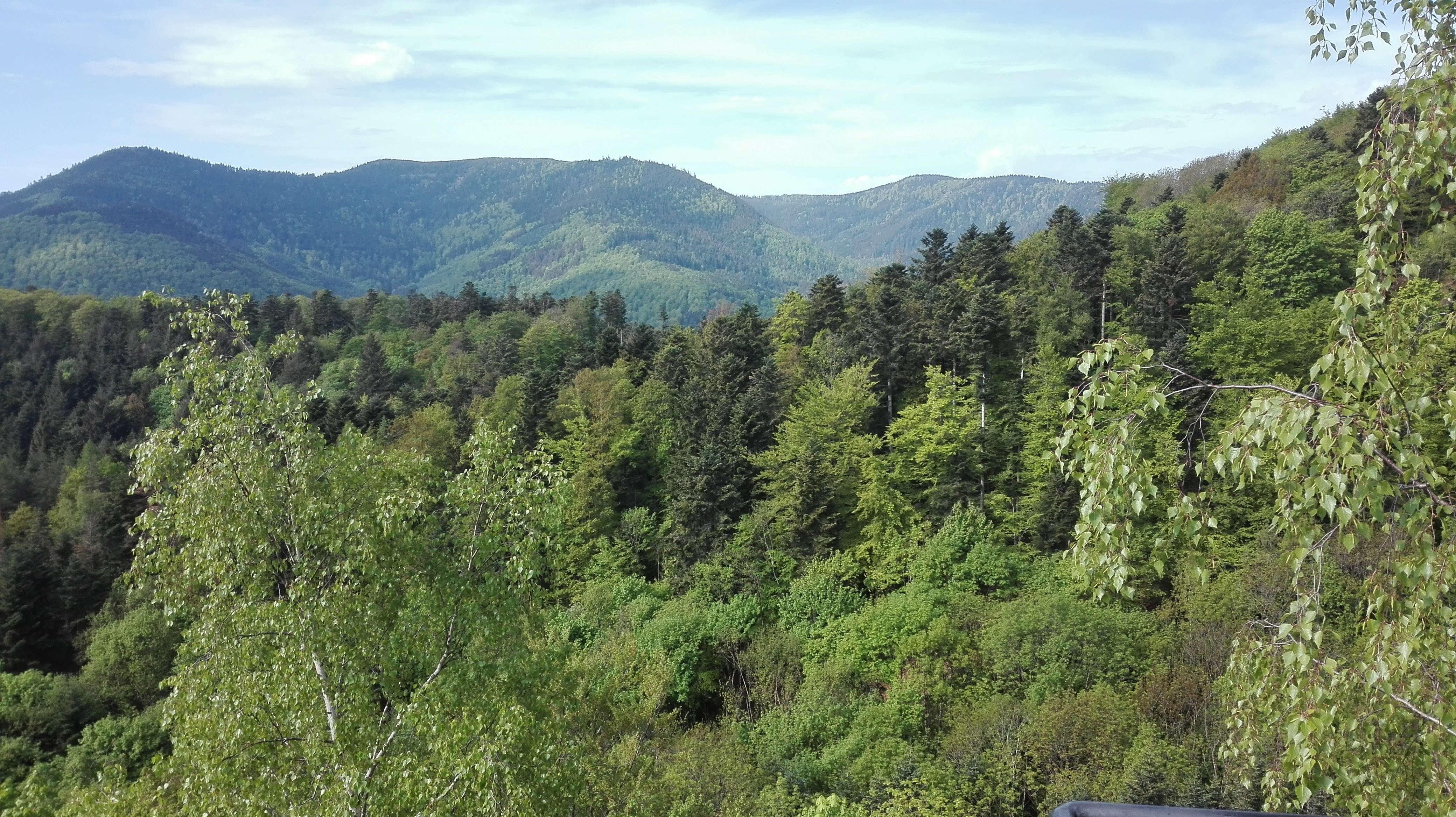 Photo n° 8 de l'avis de Nora.u fait le 29/04/2018 à 12:57
