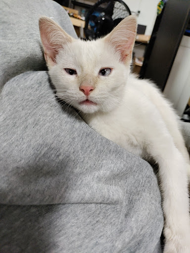 Water Park «Pine Lake Waterpark», reviews and photos, 4640 W State Road 218, Berne, IN 46711, USA