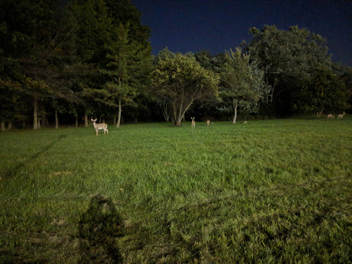 Park «Delcastle Recreational Park», reviews and photos, 2920 Duncan Rd, Wilmington, DE 19808, USA