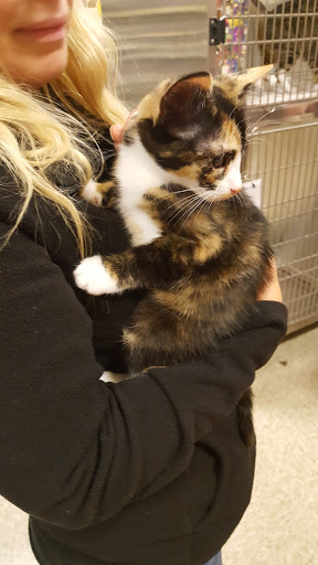 Pet Supply Store «PetSmart», reviews and photos, 2000 Clements Bridge Rd, Woodbury, NJ 08096, USA