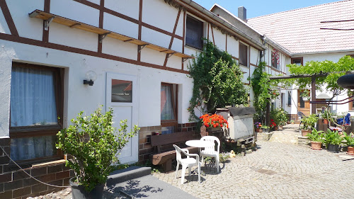 Gasthaus/Pension Pension Schumann Bienstädt en allemagne