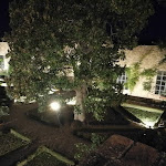 Photo n°18 de l'avis de G. fait le 04/08/2020 à 23:25 sur le  Certosa di Pontignano à Pontignano