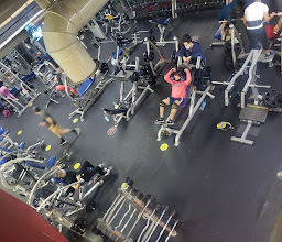 Iron Muscle Fitness & Gym photo