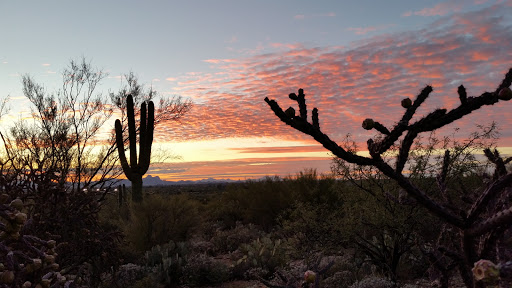 Tourist Attraction «Linda Vista Trail», reviews and photos, 730 E Linda Vista Rd, Oro Valley, AZ 85737, USA
