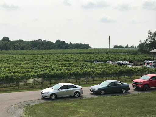 Winery «Dancing Dragonfly Winery», reviews and photos, 2013 120th Ave, St Croix Falls, WI 54024, USA