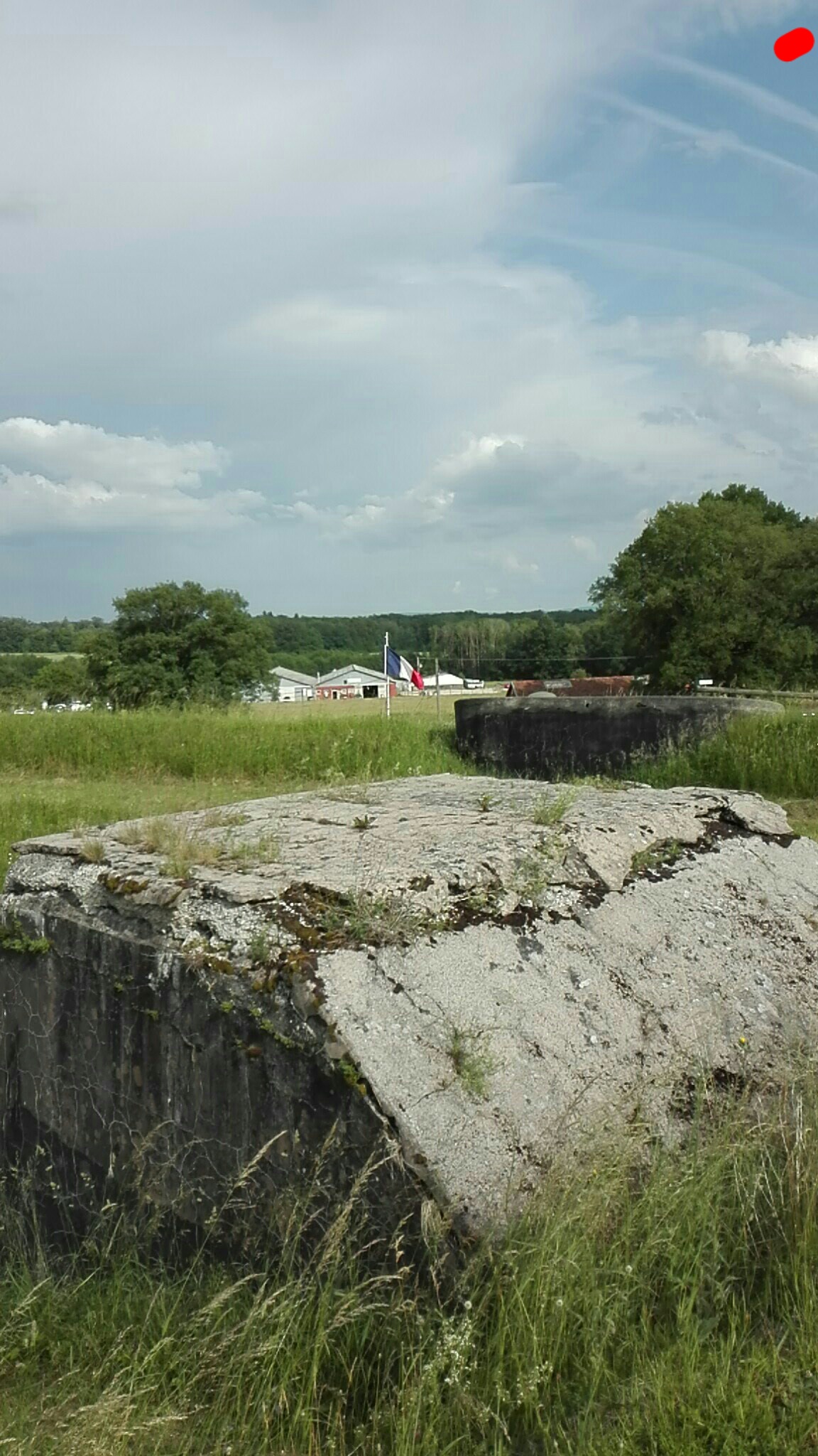 Photo n° 3 de l'avis de Spina. fait le 03/06/2018 à 16:38