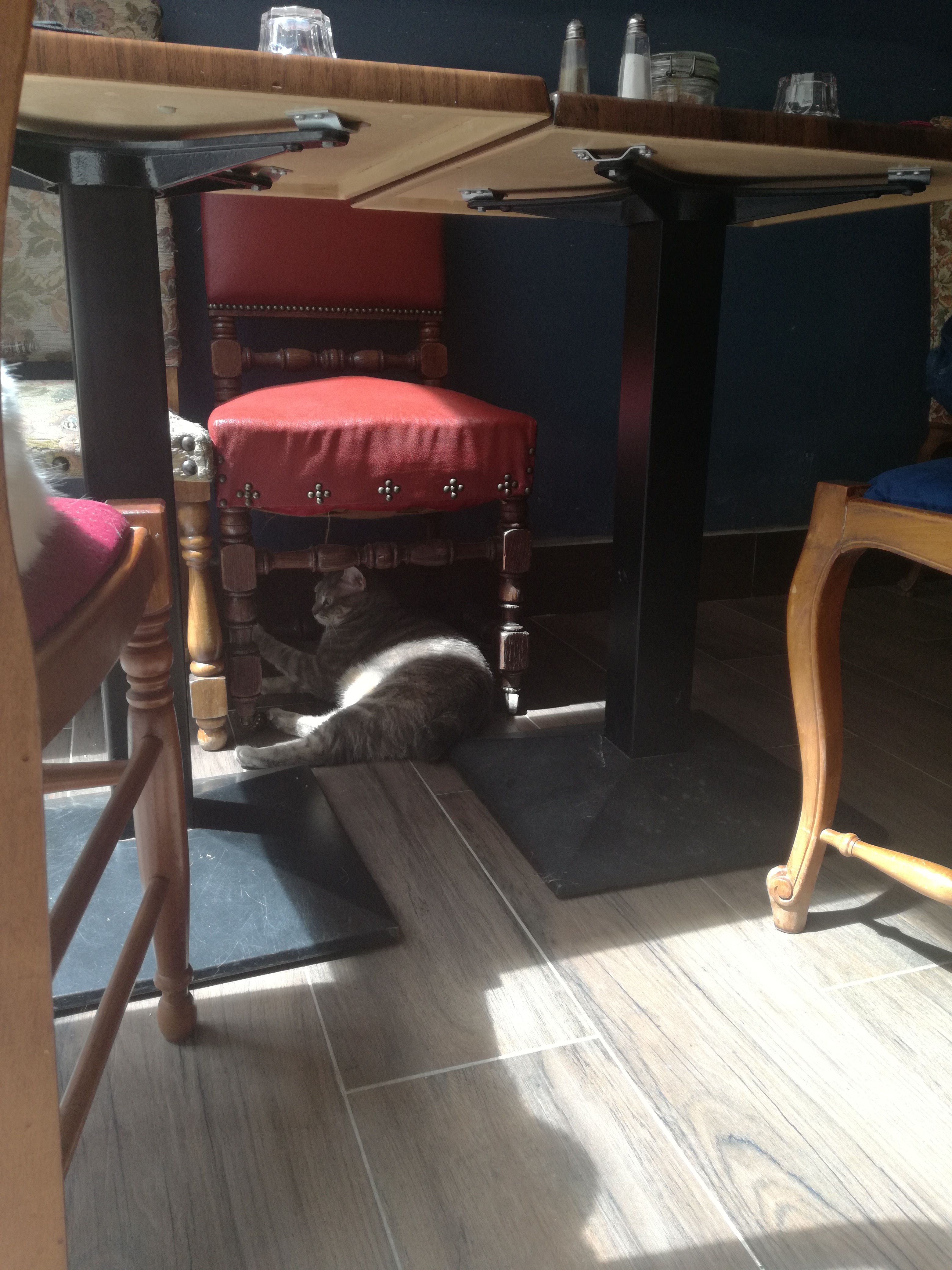 Photo n° 2 de l'avis de Mathou.r fait le 12/07/2019 à 07:27