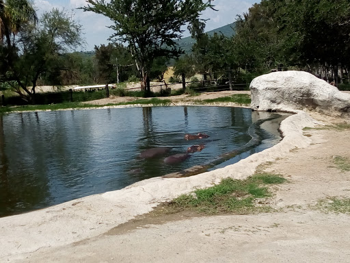 Zoologico Guadalajara