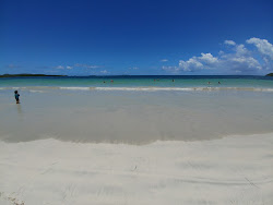 Playa Medio Mundo'in fotoğrafı vahşi alan