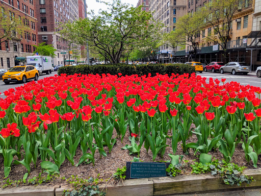 Art Museum «Cooper Hewitt Smithsonian Design Museum», reviews and photos, 2 E 91st St, New York, NY 10128, USA