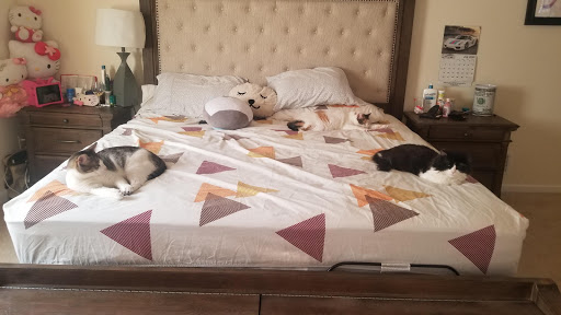 Pet Supply Store «PetSmart», reviews and photos, 367 Mt Hope Ave, Rockaway, NJ 07866, USA