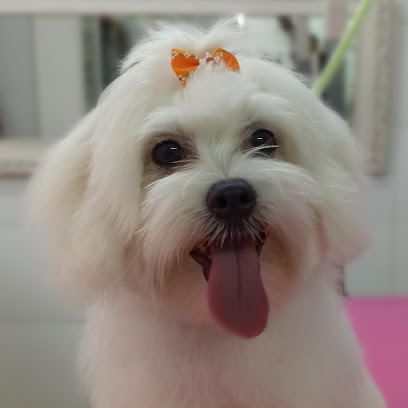 Peluquería Canina Pelukan - Servicios para mascota en Cuart de Poblet