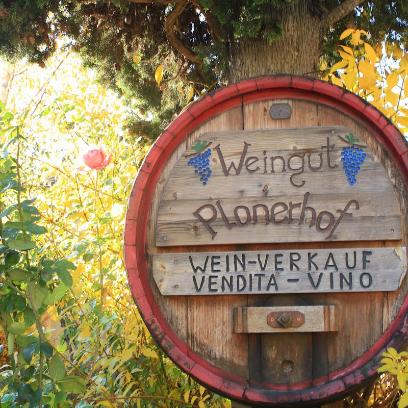 Weingut Plonerhof - Vendita Vini Plonerhof