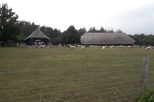 Ermelo sheepfold image