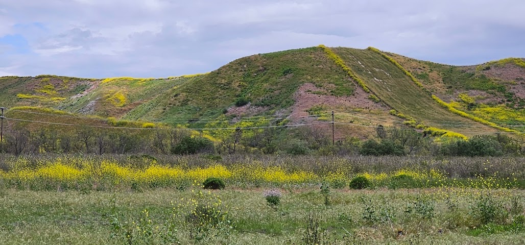 Camp Pendleton Main Gate by null