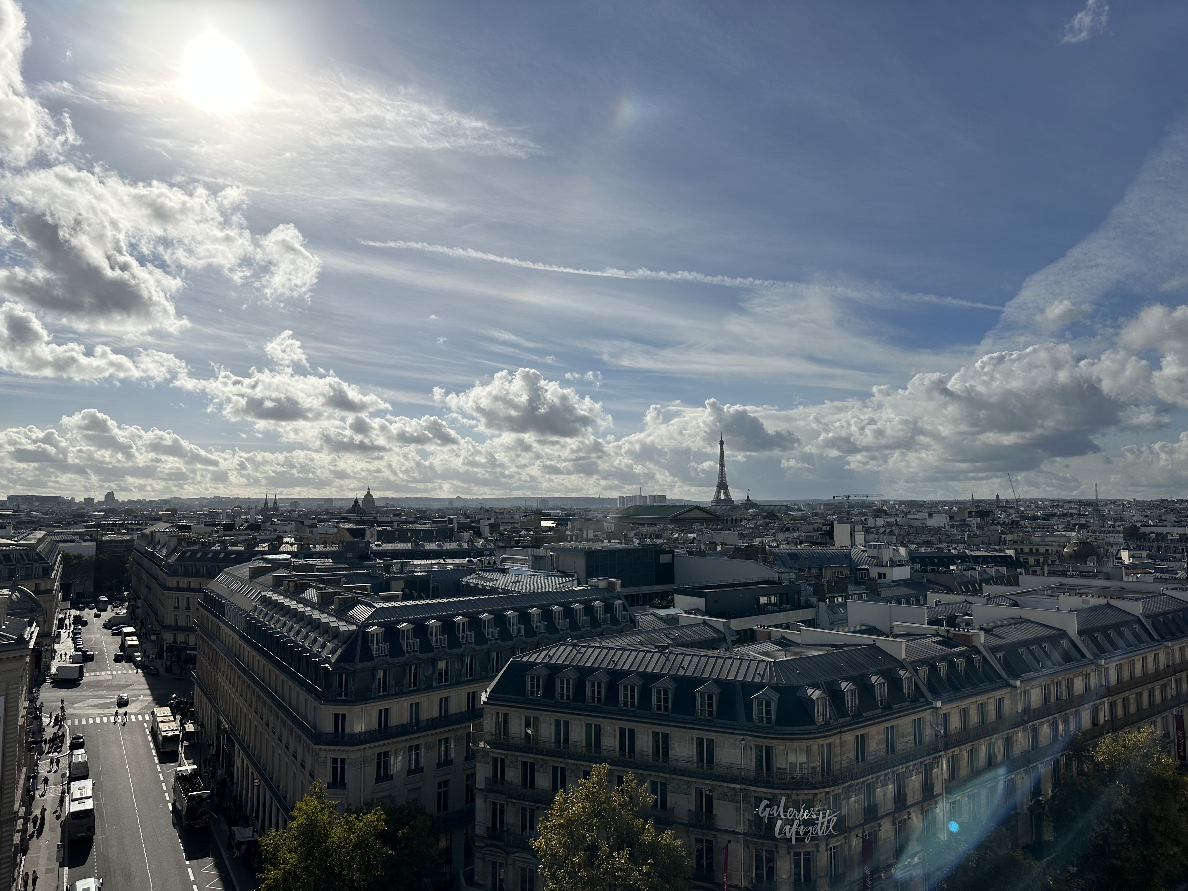Photo n° 3 de l'avis de Victoria.. fait le 26/10/2023 à 04:48