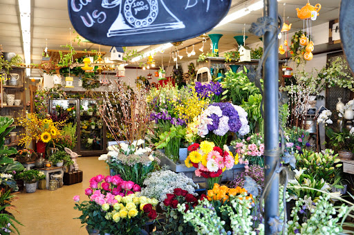 Florist «Polites Florist», reviews and photos, 443 Baltimore Pike, Springfield, PA 19064, USA