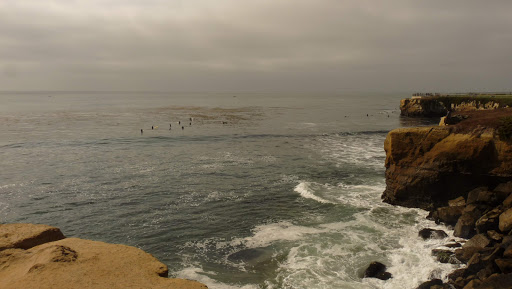 Coffee Shop «Santa Cruz Coffee Roasting Co.», reviews and photos, 1330 Pacific Ave, Santa Cruz, CA 95060, USA