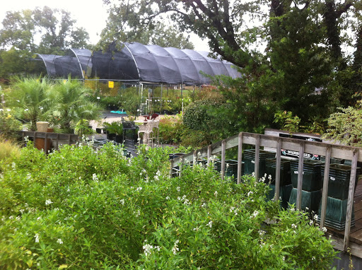 Plant Nursery «Guerin Nursery and Boutique», reviews and photos, 1418 Fall Creek Hwy, Granbury, TX 76049, USA