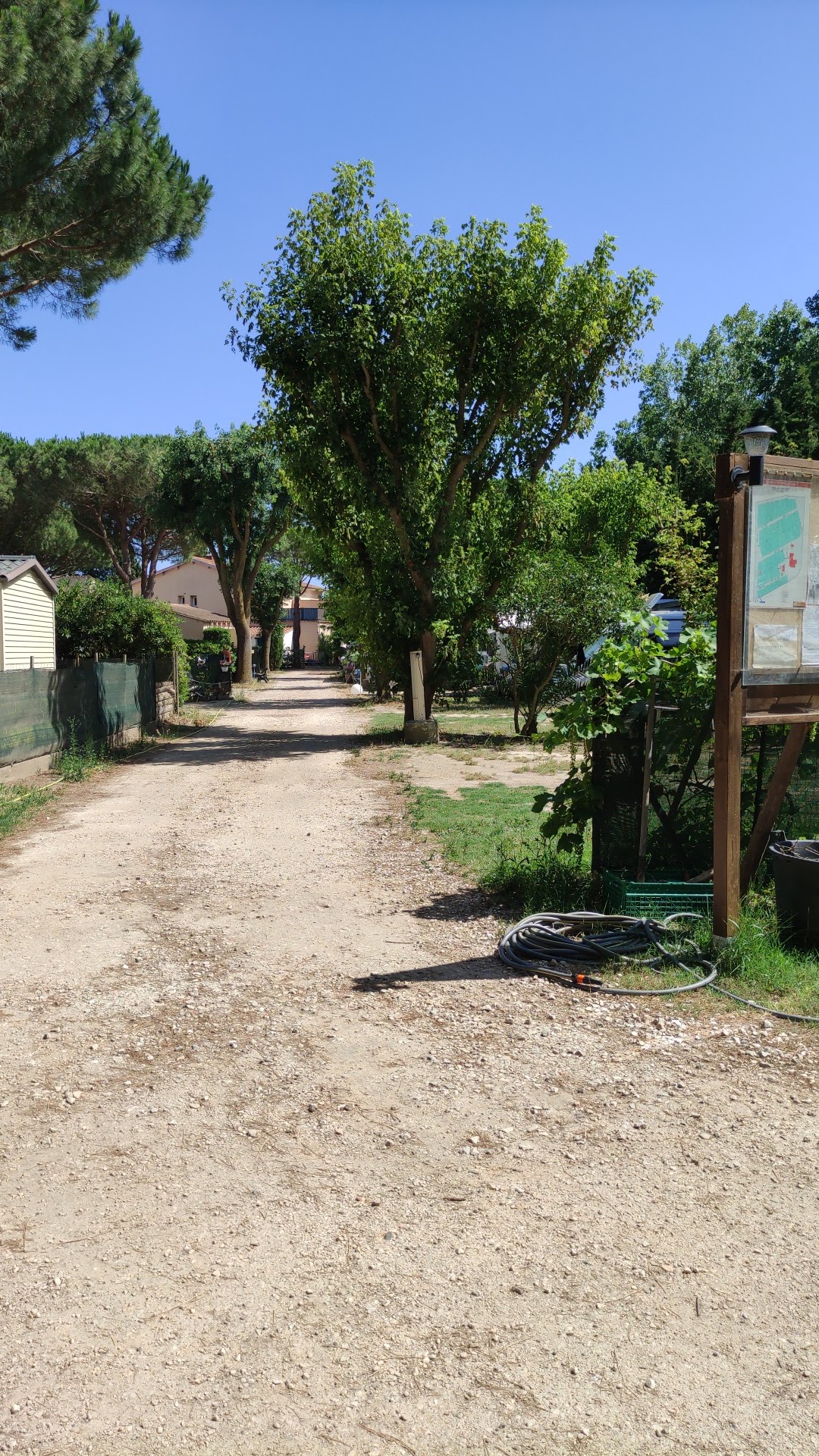 Photo n° 1 de l'avis de CONCHE.o fait le 26/06/2022 à 14:11