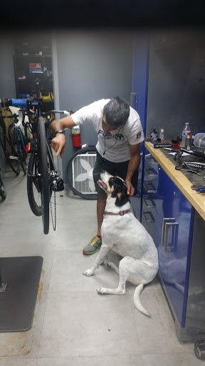 Bicycle Store «Fusion Pro Bike Shop», reviews and photos, 14811 Biscayne Blvd, Miami, FL 33181, USA