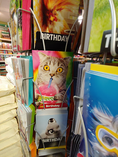 Pet Supply Store «Whole Pets Market», reviews and photos, 911 W Hwy 290, Dripping Springs, TX 78620, USA