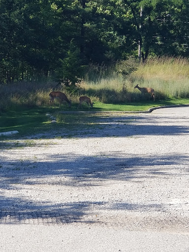 Park «Cleveland Metroparks», reviews and photos, 1969 W Ridgewood Dr, Cleveland, OH 44134, USA