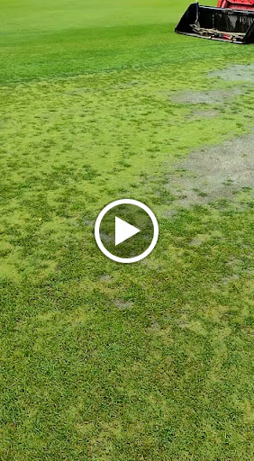 American Football Field «EverBank Field», reviews and photos, 1 Everbank Field Dr, Jacksonville, FL 32202, USA